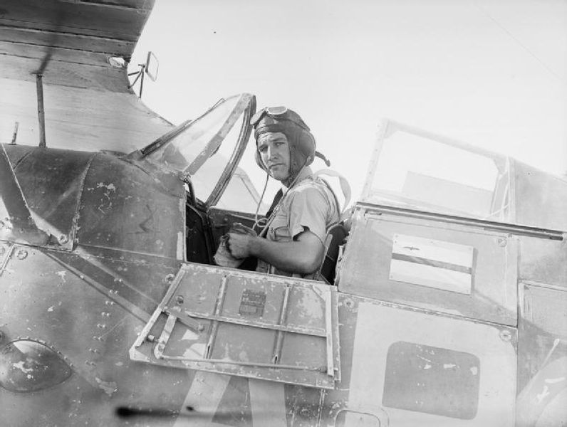 File:Royal Air Force Operations in the Middle East and North Africa, 1939-1943. CM42.jpg