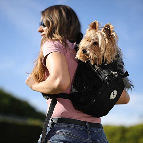 ruffit dog carrier