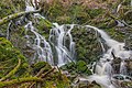 wikimedia_commons=File:Sägbach-Wasserfall.jpg