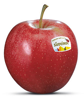 South Tyrolean Apple PGI