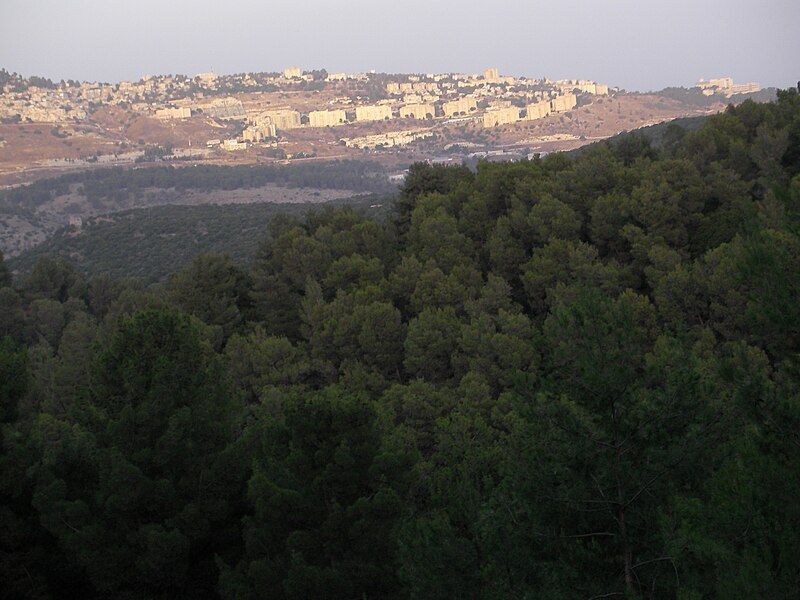 File:Safed, as seen from Meron - panoramio.jpg