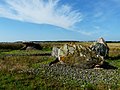 Menhir di pietra in piedi