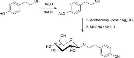 Synthesis of the tyrosol derivative salidroside