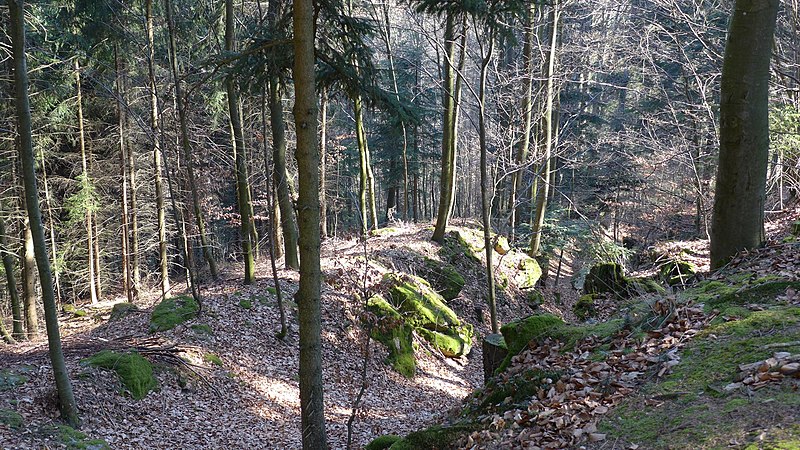 File:Sarmingstein-Oberoesterreich-Huegelburg-Wehrgraben.JPG