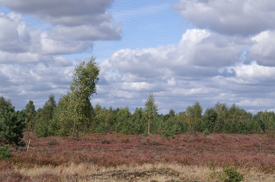 Halfnatuurlijk landschap