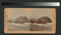 Seal Rocks, San Francisco, Cal (NYPL b11707327-G89F405 027F).tiff
