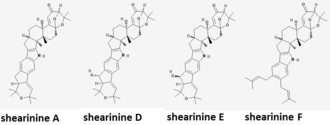 Shearinines A,D,E,and F Shearinine A,D,E,F.png