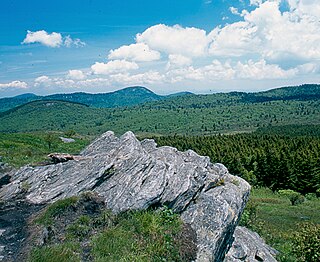 <span class="mw-page-title-main">Shining Rock Wilderness</span> Protected wilderness in the U.S. state of North Carolina