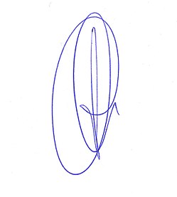 Signature of Jordi Cuixart.jpg