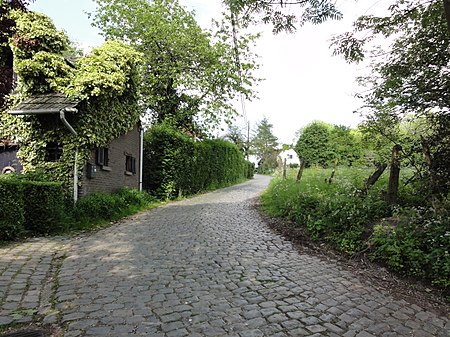 Sint Denijs Boekel Molenberg 2