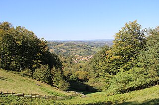 <span class="mw-page-title-main">Skadar, Osečina</span> Village in Kolubara, Serbia