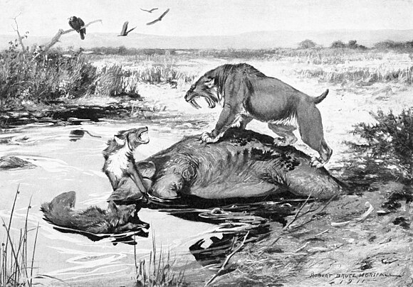 Smilodon californicus and Canis dirus fight over a Mammuthus columbi carcass in the La Brea Tar Pits, risking becoming trapped themselves