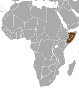 Сомалийский стройный мангуст area.png
