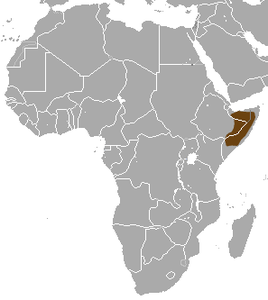 Somali Slender Mongoose area.png