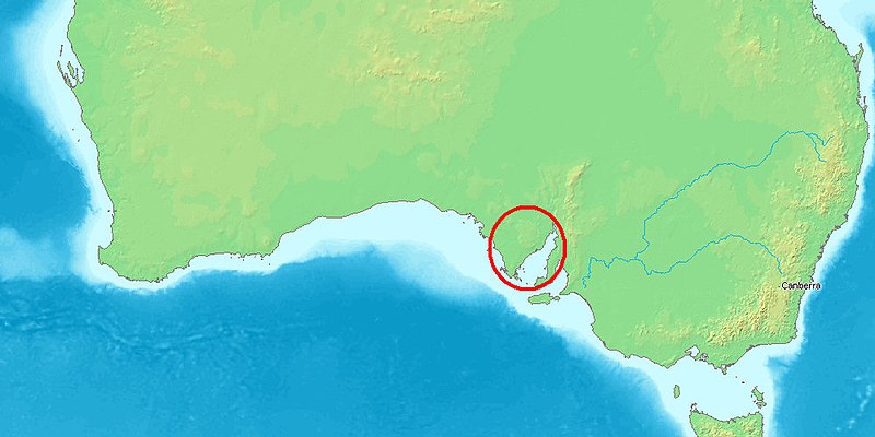 File:Spencer Gulf.jpg