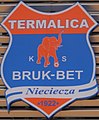 Stadion KS Nieciecza logo (cropped).jpg