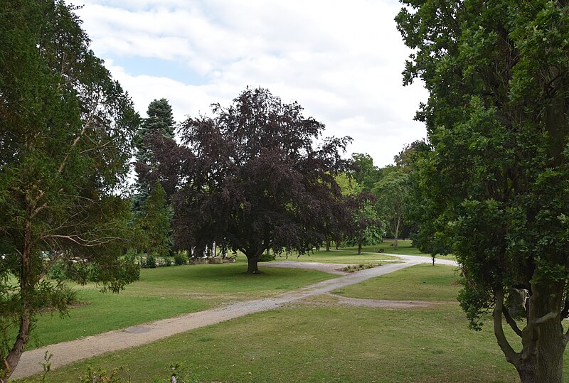 File:Stadtpark Blankenburg 02.jpg