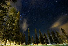 View of the night sky from Dole Park