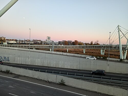 Steel Pedestrian Bridge