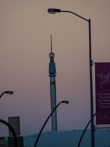 File:Stefan's Needle and Girdle of Venus Reddacliff Place Brisbane P1150532.jpg