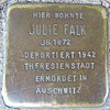 Stumbling block for Julie Falk