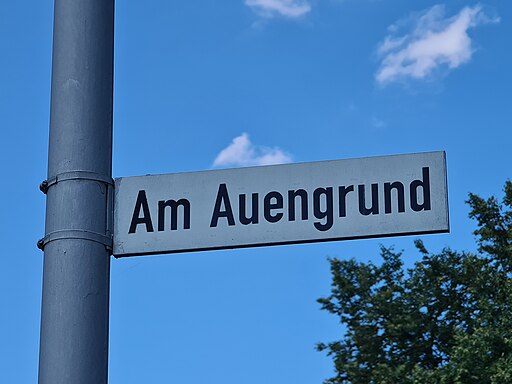 Straßennamensschild Am Auengrund Hof (Saale) 20220807 160658
