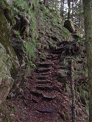 Alpine path