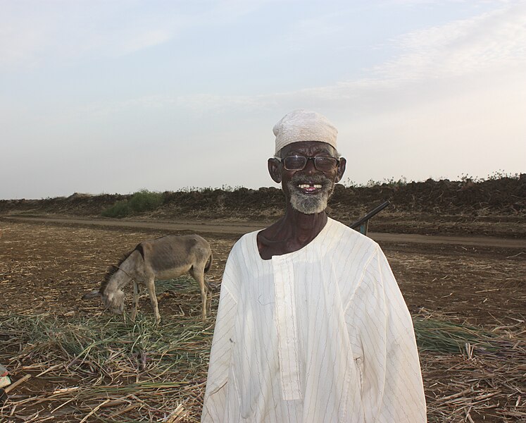 File:Sudanese Farmer in Al Gezira Scheme.JPG