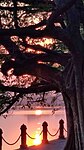 Sunset-at-the-lake-1.jpg