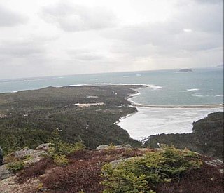 <span class="mw-page-title-main">Swells Cove</span> Fishing Cove in Newfoundland and Labrador, Canada