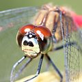 2014年2月15日 (土) 04:04時点における版のサムネイル