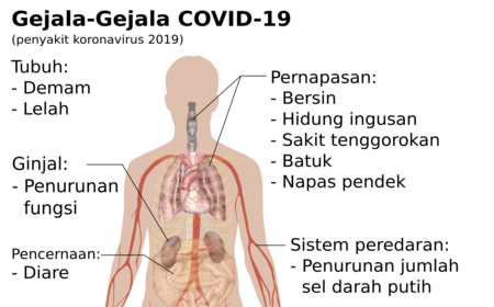 Penyakit koronavirus 2019