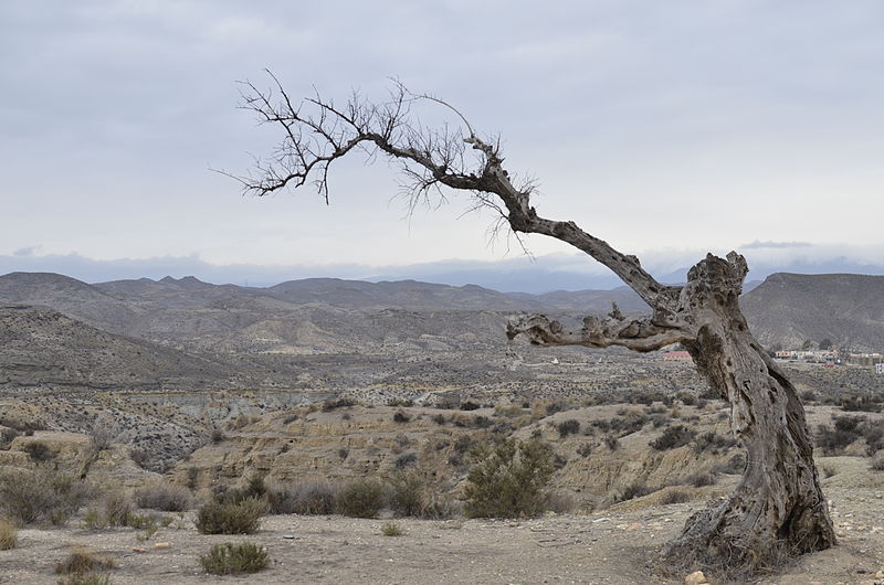 File:Tabernas 03.JPG