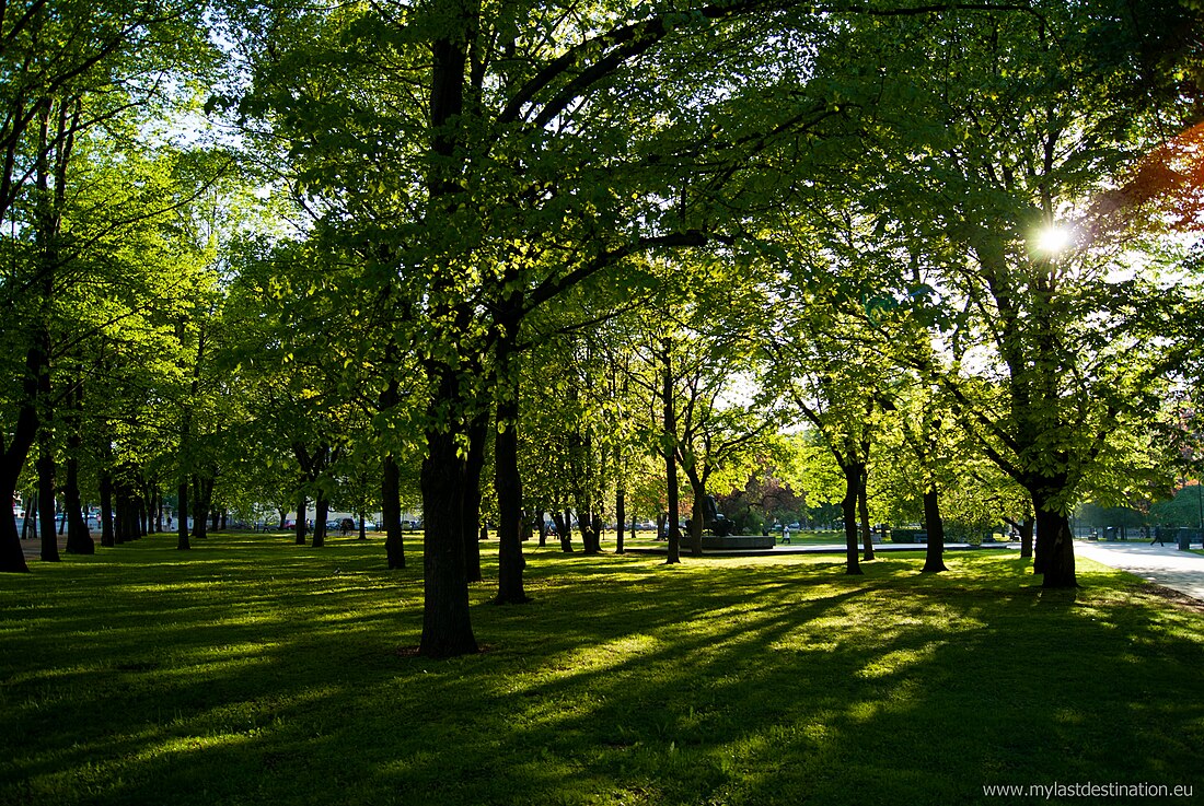 Parc Tammsaare