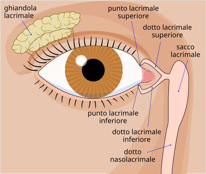 File:Tear system-it.svg