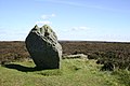The Cammon Stone, Rudland Rigg - geograph.org.uk - 75768.jpg