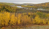 The Peace River as it winds past the town of Peace River during the autumntime.
