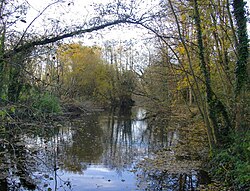 Řeka Ash, proti proudu od Squire's Bridge (geografický 3767316) .jpg