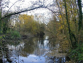 <span class="mw-page-title-main">River Ash, Surrey</span> River in Surrey, England