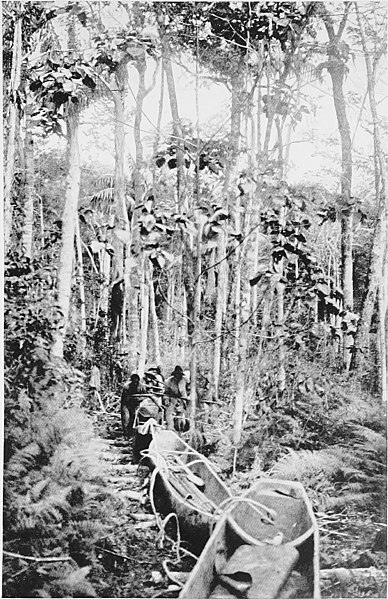 File:Through the Brazilian wilderness (1914) (20574069908).jpg