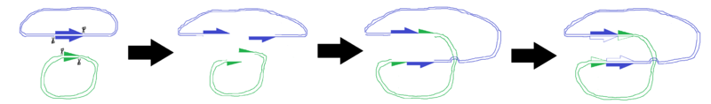 File:Tn3 transposon replicative integration diagram.png
