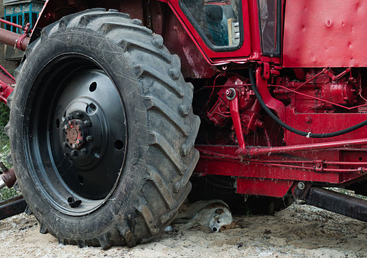 Tractor "Belarus" wheel