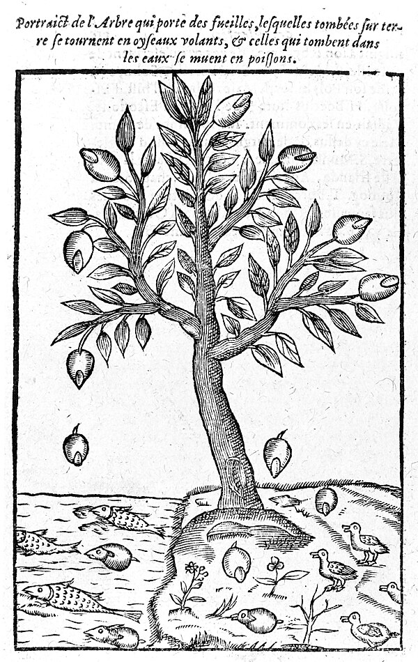 Claude Duret's 1605 Histoire admirable des plantes et herbes esmerueillables et miraculeuses en nature... illustrated numerous supposed examples of sp