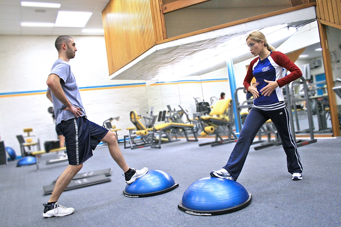 File:Two people in a gym using BOSU balls.jpg