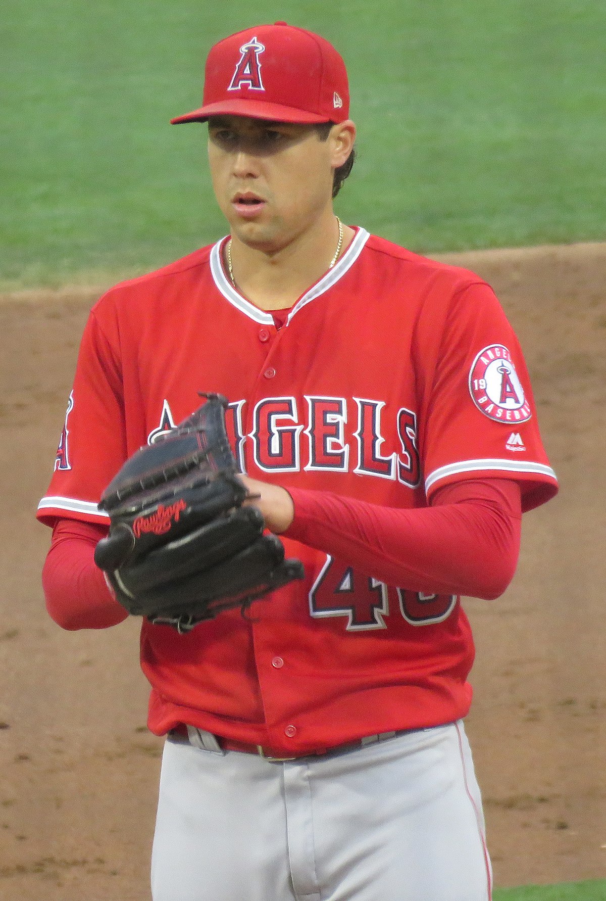 Tyler Skaggs - Wikipedia