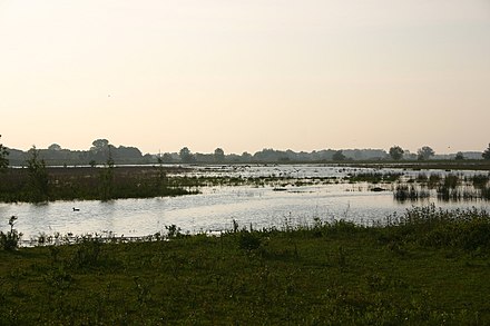 Floodplains near Deventer