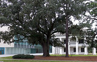 <span class="mw-page-title-main">Paul and Lulu Hilliard University Art Museum</span> Museum in Lafayette, Louisiana