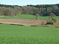 Teilstück der Urdorfer Senke: Tanksperre mit Maschinengewehr­bunker und Schild für Infanteriekanone