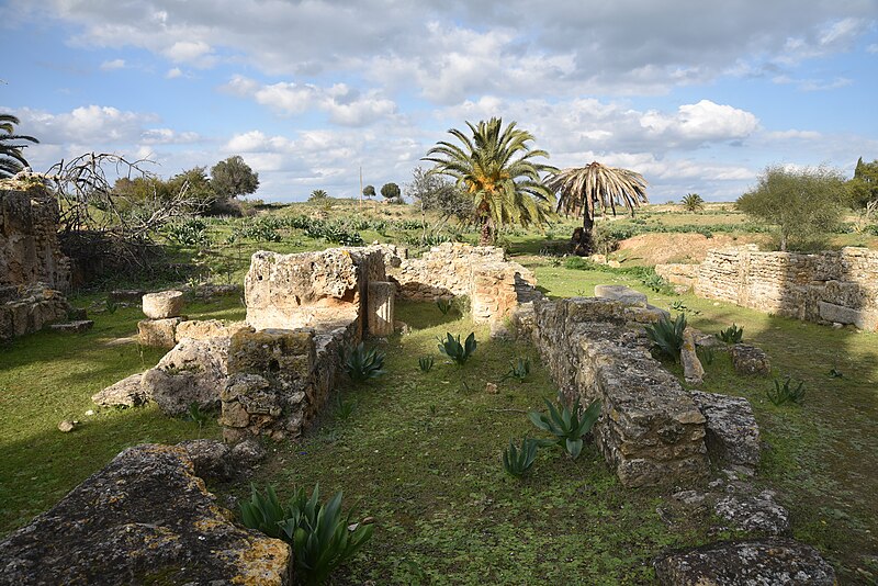 File:Utica, one of the oldest and most celebrated Phoenician settlements and a Roman colony under Hadrian, Africa Proconsularis, Tunisia - 52981653683.jpg