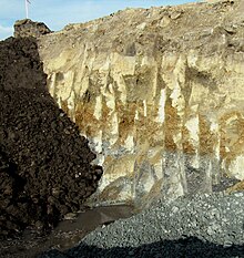 The sharp contact between the vadose zone (brown oxidized mudstone) and the underlying phreatic zone (grey unoxidized mudstone) exposed at a construction site. Vadose Zone.jpg